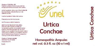 Urtica Conchae Ampules (Urtica Conchae Ampules)